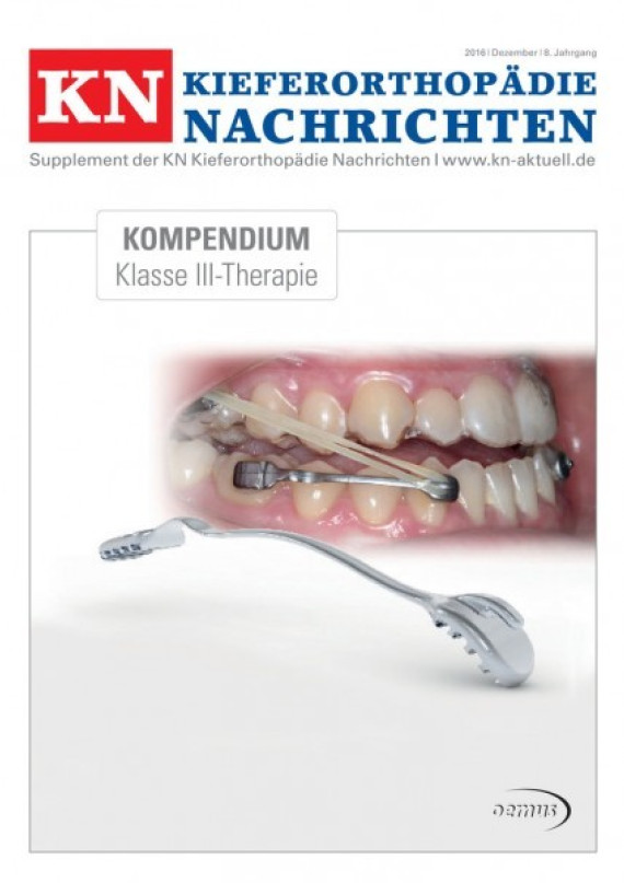 Cover Image for Issue