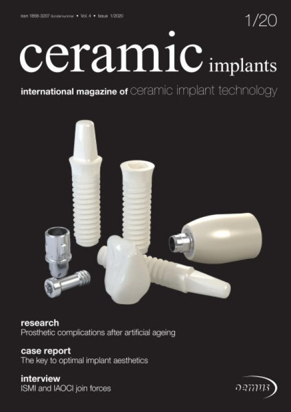 Cover Image for Issue