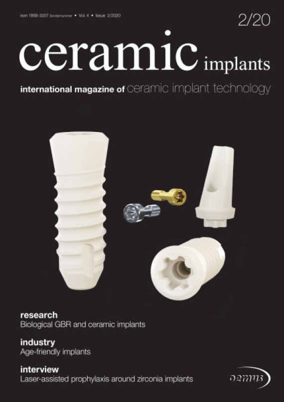 Cover Image for Issue