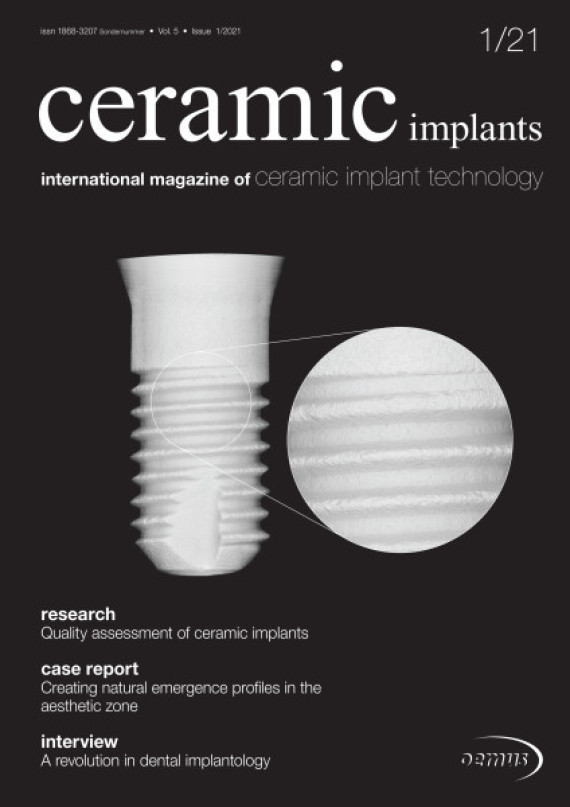 Cover Image for Issue