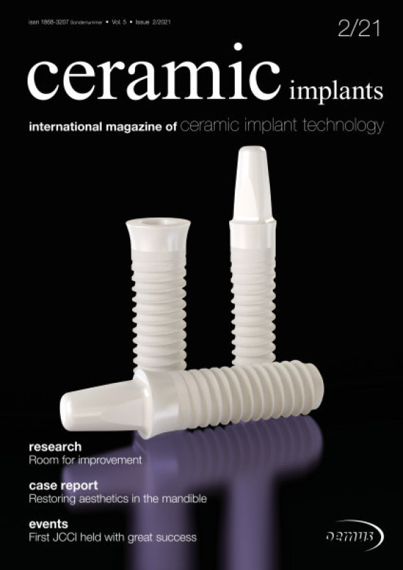 Cover Image for Issue