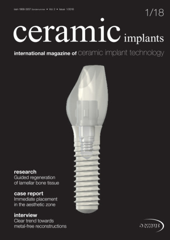 Cover Image for Issue