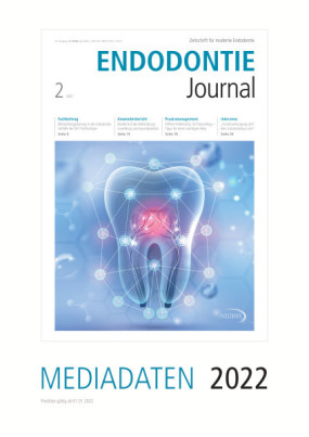 Cover Image for Issue