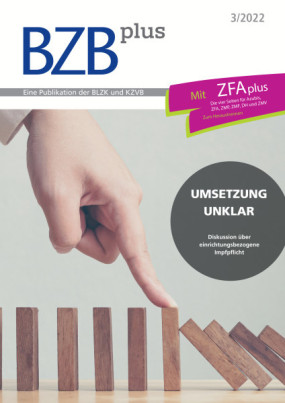 Cover Image for Issue