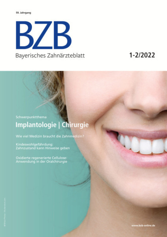 Cover Image for Issue