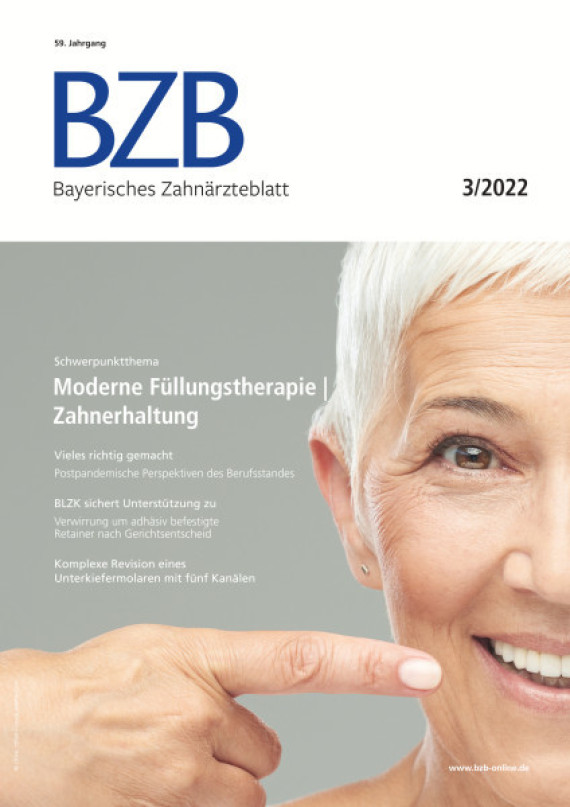 Cover Image for Issue