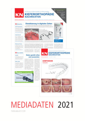 Cover Image for Issue