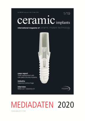 Cover Image for Issue