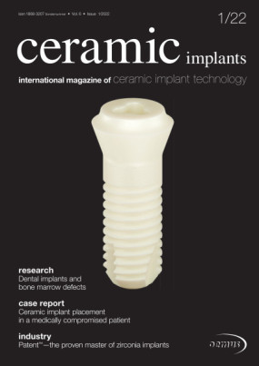 Cover Image for Issue