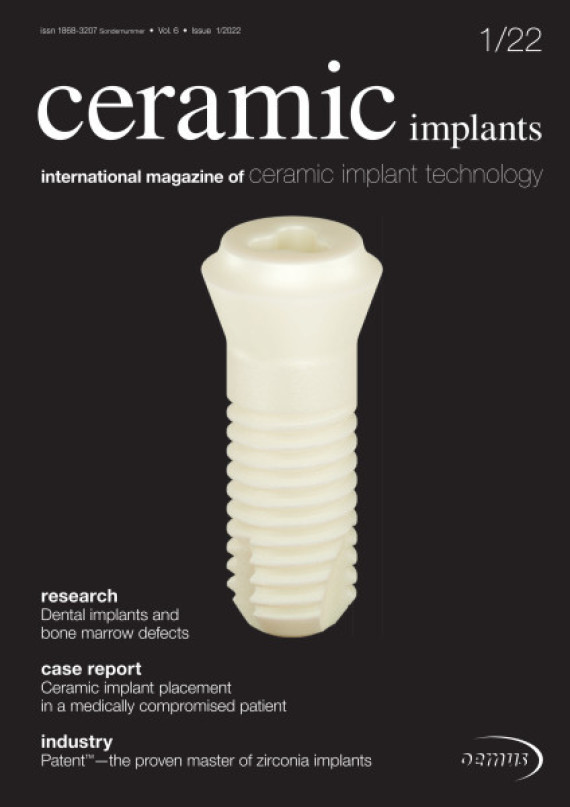 Cover Image for Issue