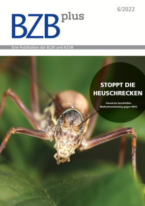 Cover Image for Issue