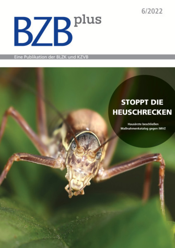 Cover Image for Issue