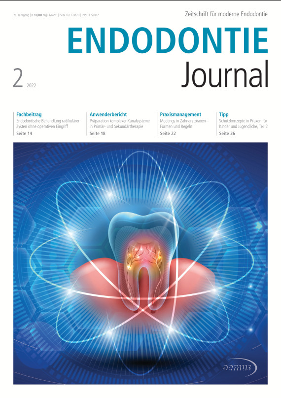 Cover Image for Issue