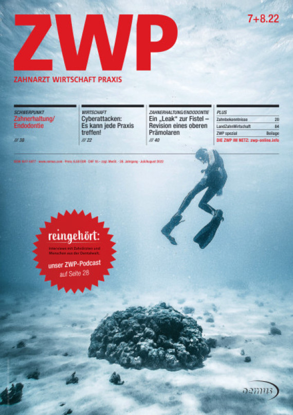 Cover Image for Issue