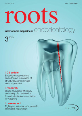 Cover Image for Issue