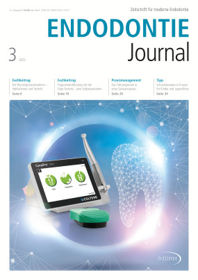 Cover Image for Issue