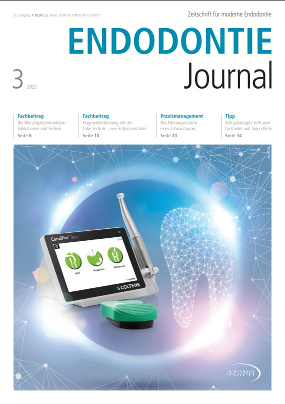 Cover Image for Issue