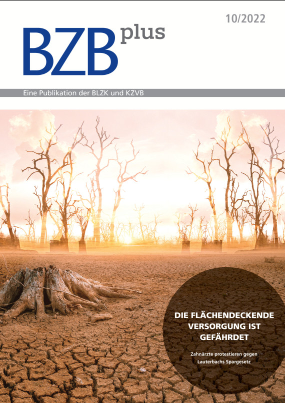 Cover Image for Issue
