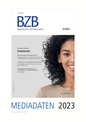 Cover Image for Issue