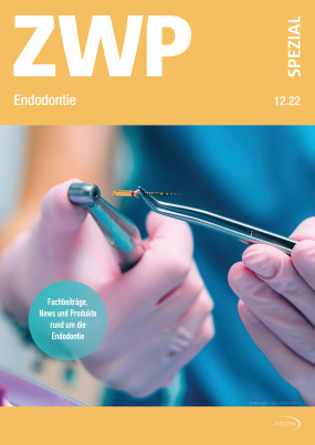 Cover Image for Issue