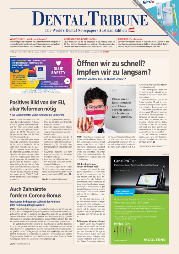 Cover Image for Issue