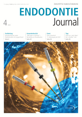 Cover Image for Issue