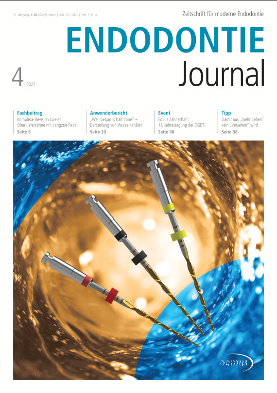 Cover Image for Issue