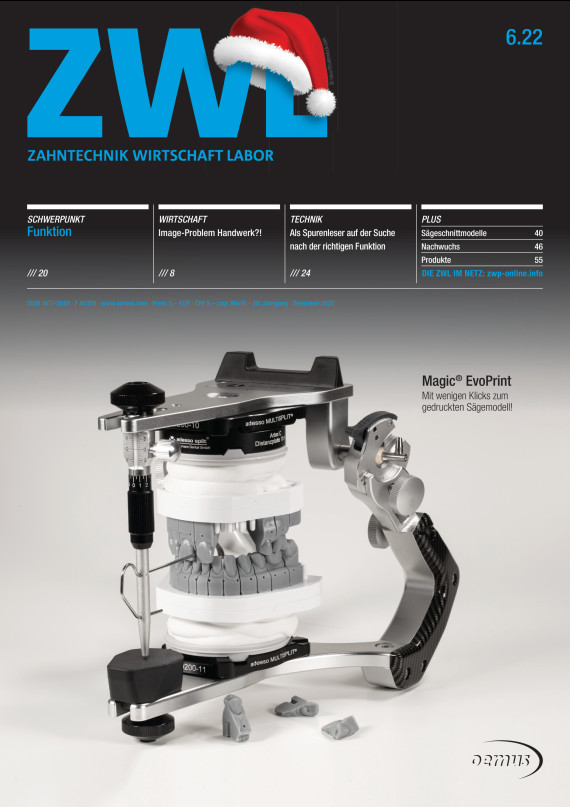 Cover Image for Issue