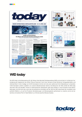 Cover Image for Issue