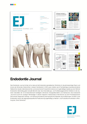 Cover Image for Issue