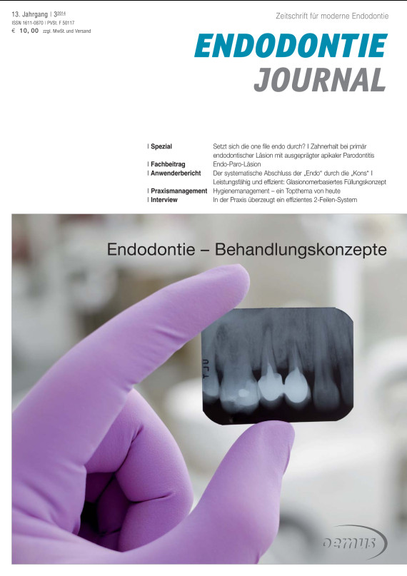 Cover Image for Issue