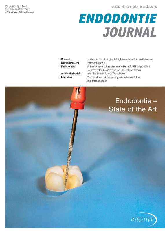 Cover Image for Issue