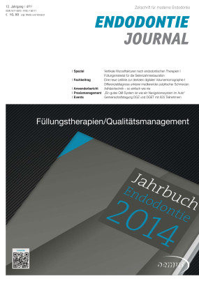 Cover Image for Issue