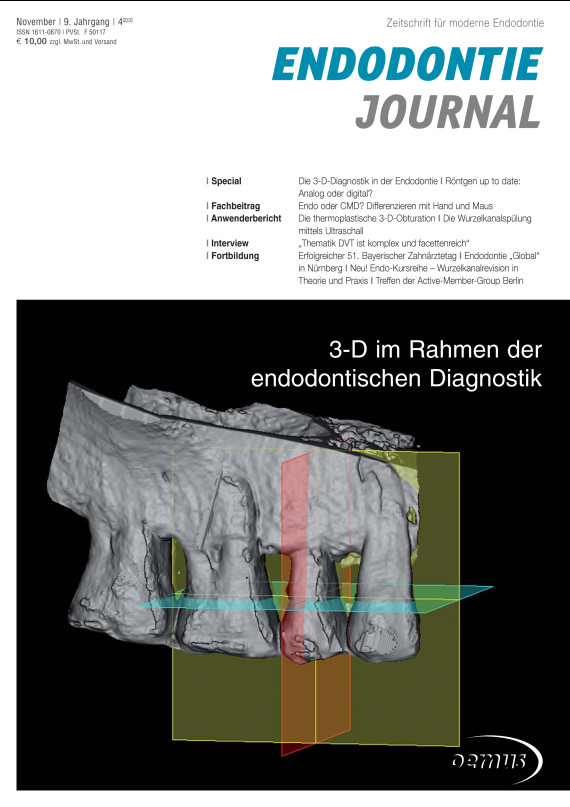 Cover Image for Issue