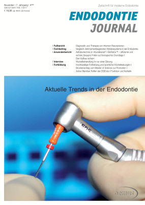 Cover Image for Issue