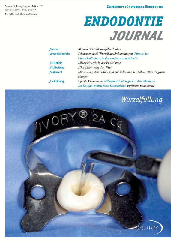 Cover Image for Issue