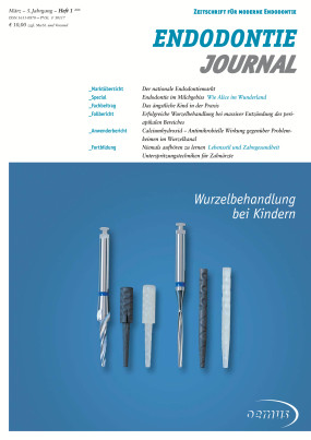 Cover Image for Issue