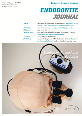 Cover Image for Issue