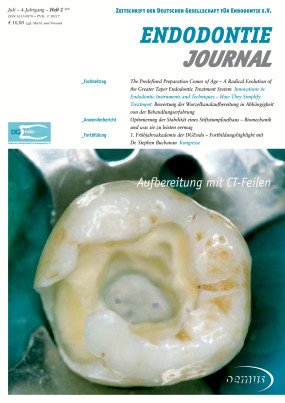 Cover Image for Issue