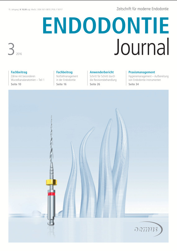 Cover Image for Issue