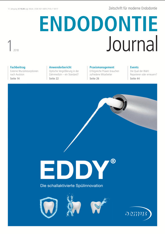 Cover Image for Issue