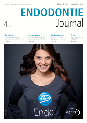 Cover Image for Issue