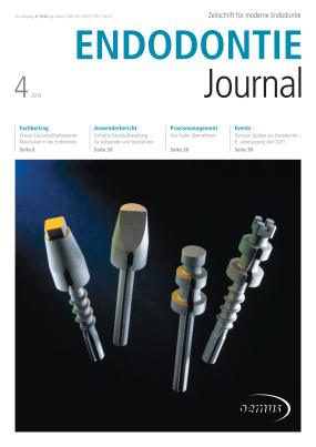 Cover Image for Issue