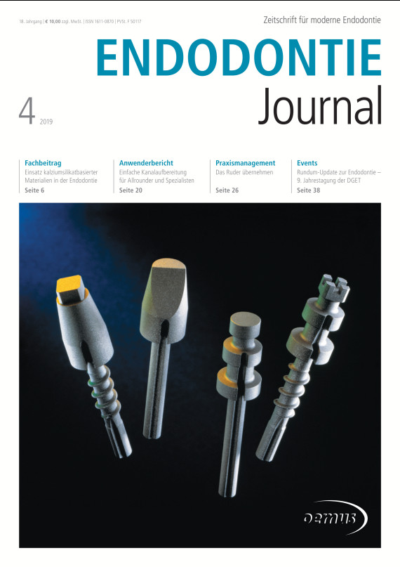 Cover Image for Issue