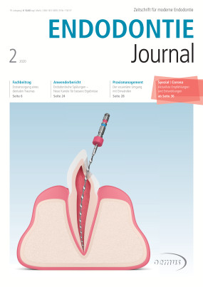 Cover Image for Issue