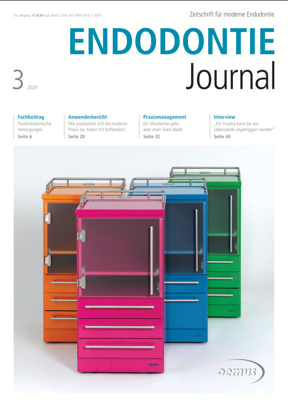 Cover Image for Issue