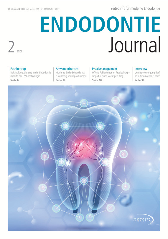 Cover Image for Issue