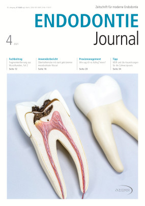 Cover Image for Issue