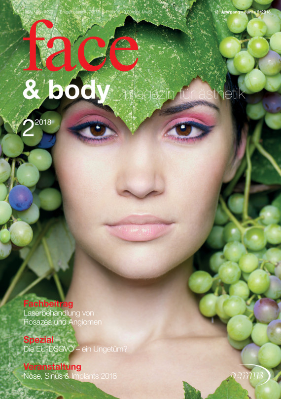 Cover Image for Issue