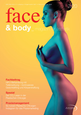 Cover Image for Issue